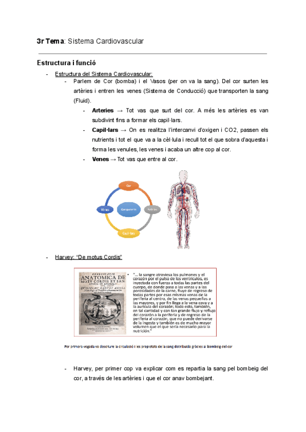 Miniatura del documento 3r-Tema-Sistema-Cardiovascular.pdf