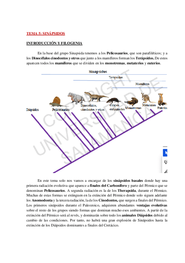 Miniatura del documento AP-TEMA-5-FAUNA-WH.pdf