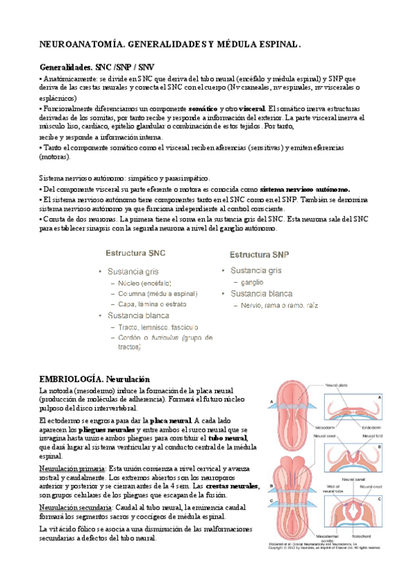 Miniatura del documento 1. Neuro. Generalidades y M. Espinal.pdf