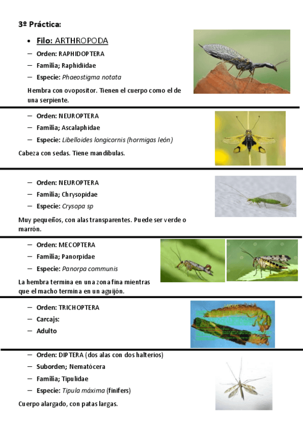 Miniatura del documento VISU-3o-Practica.pdf