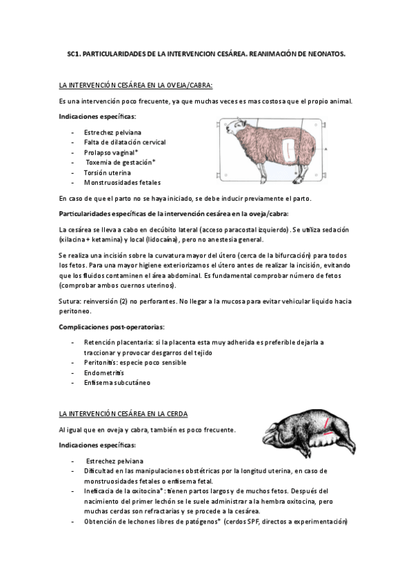 Miniatura del documento SC1.-PARTICULARIDADES-DE-LA-INTERVENCION-CESAREA.-REANIMACION-DE-NEONATOS..pdf