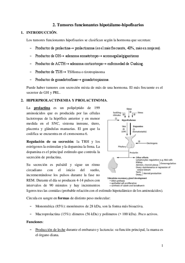 Miniatura del documento 2.-Tumores-funcionantes-hipotalamo-hipofisarios.pdf