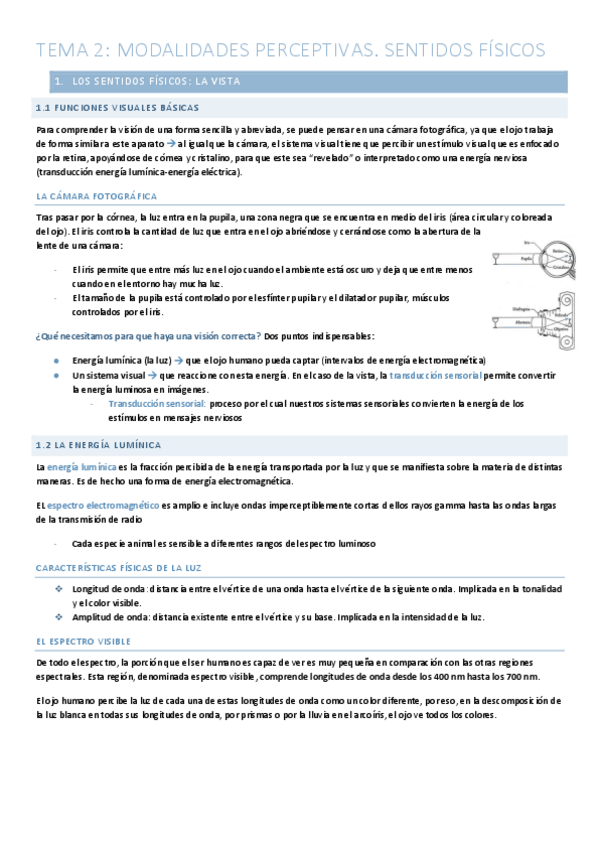 Miniatura del documento T.2-Modalidades-Perceptivas.-Sentidos-fisicos.pdf