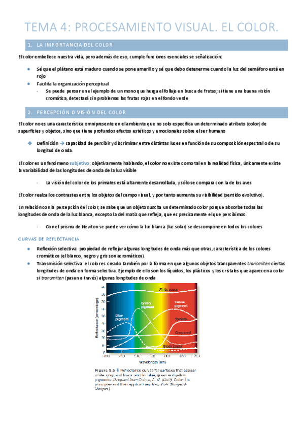 Miniatura del documento T.4-Procesamiento-visual.-Color..pdf