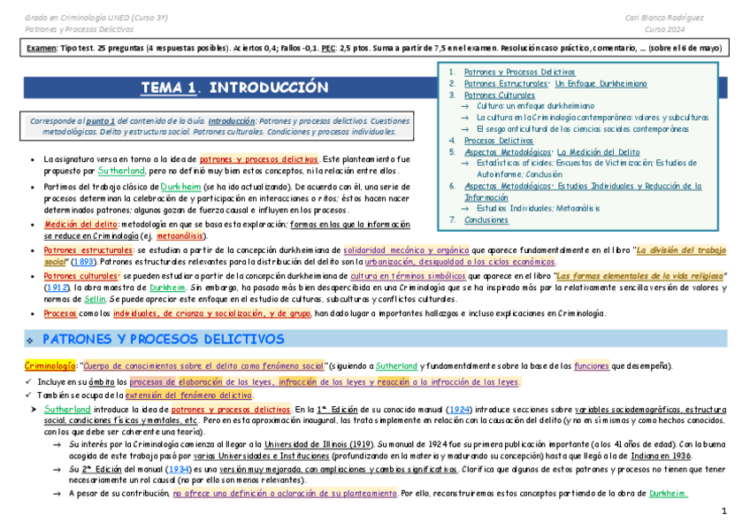 Miniatura del documento TEMA-1.-Patrones.-Cari-Blanco.pdf