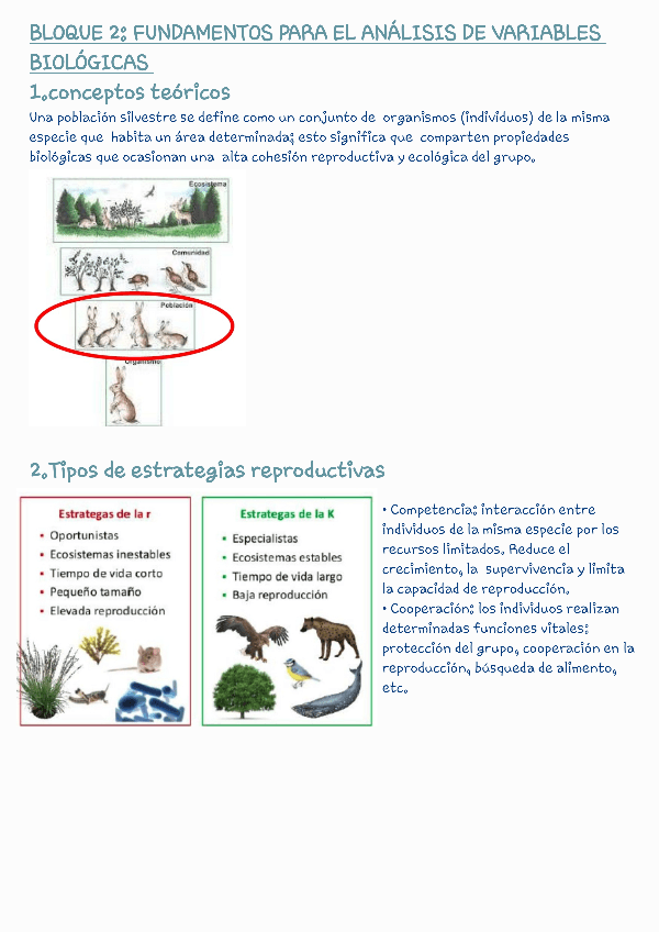 Miniatura del documento bloque-2-de-ecologia-240312123742.pdf