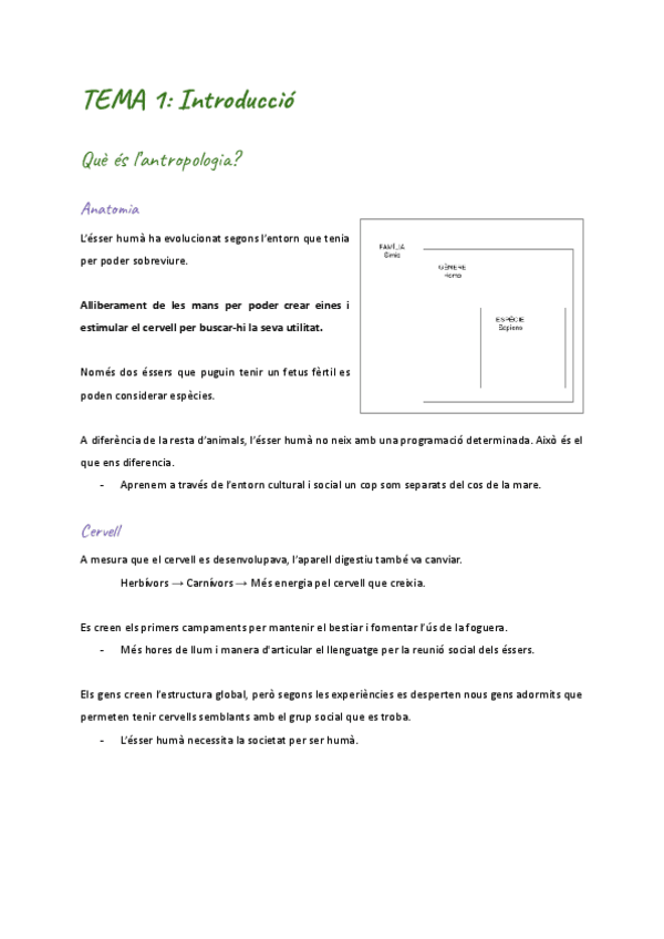 Miniatura del documento Tema-1.-Conceptes-Basics.pdf
