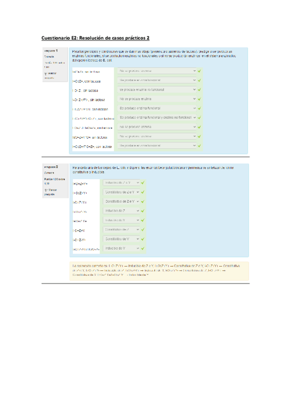 Miniatura del documento Cuestionario-E2-Resolucion-de-casos-practicos-2.pdf
