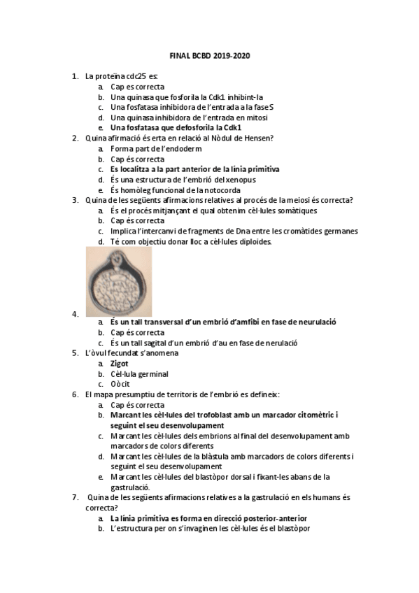 Miniatura del documento Final-BCBD-2019-20.pdf