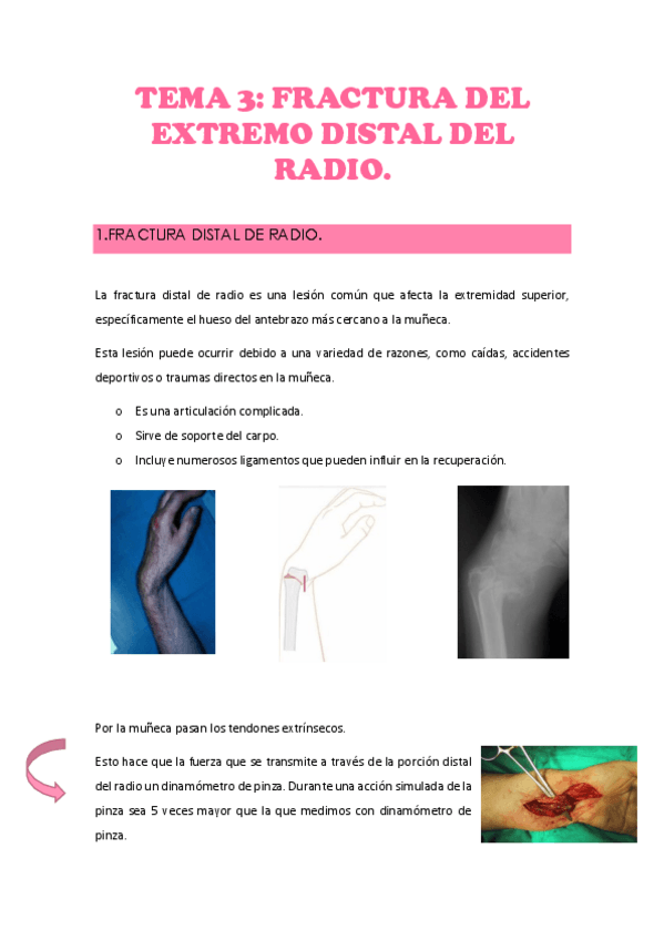 Miniatura del documento TEMA-3.pdf