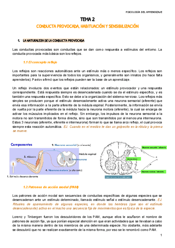Miniatura del documento APR-TEMA-2.pdf