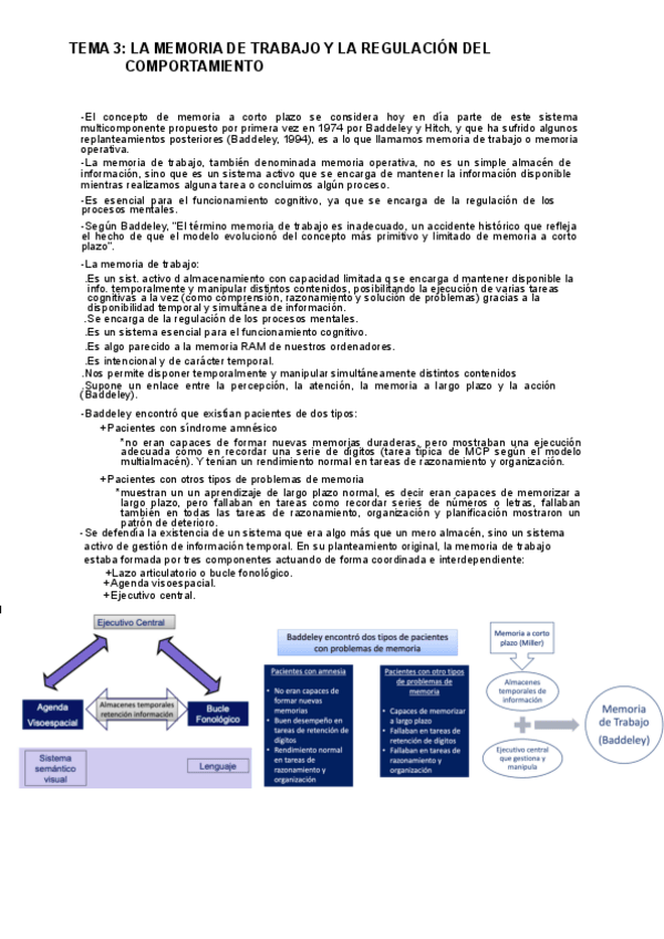 Miniatura del documento T3.-Memoria-de-trabajo-y-regulacion-del-comportamiento.pdf