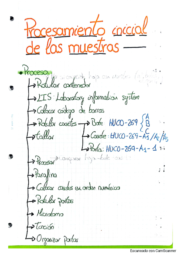 Miniatura del documento Tema-1-PCT-completo-Procesamiento-inicial-de-las-muestras..pdf