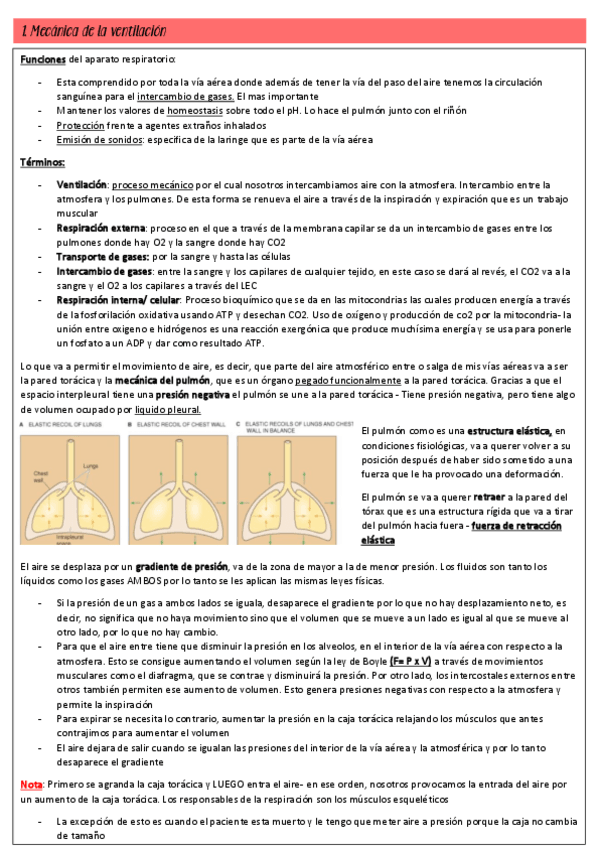 Miniatura del documento respi-fisio.pdf