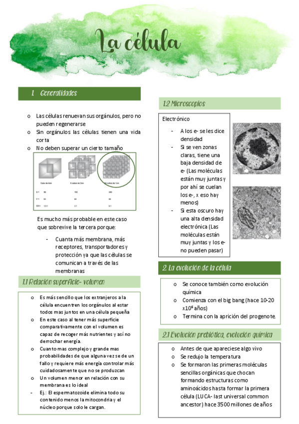 Miniatura del documento primer-parcial-biologia-celular.pdf