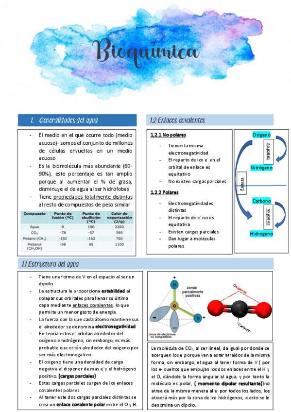 Miniatura del documento primer-parcial-bioqui-I.pdf
