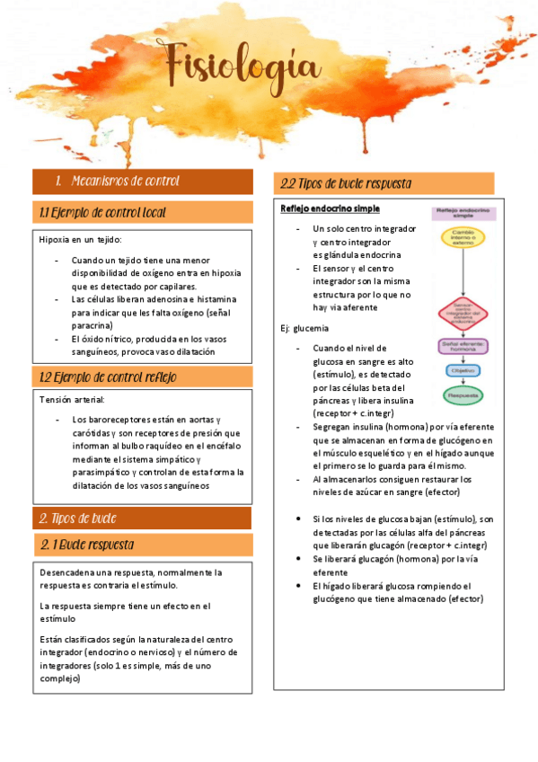 Miniatura del documento parcial-1-fisio.pdf