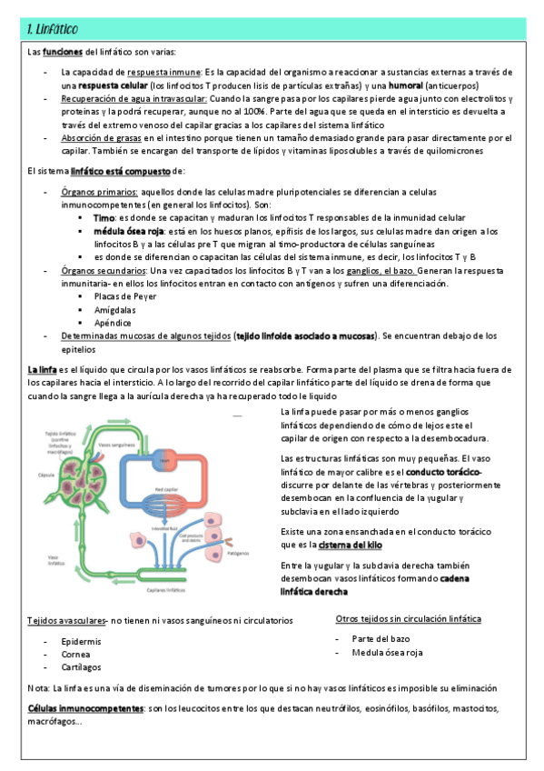 Miniatura del documento linfatico-y-excretor.pdf
