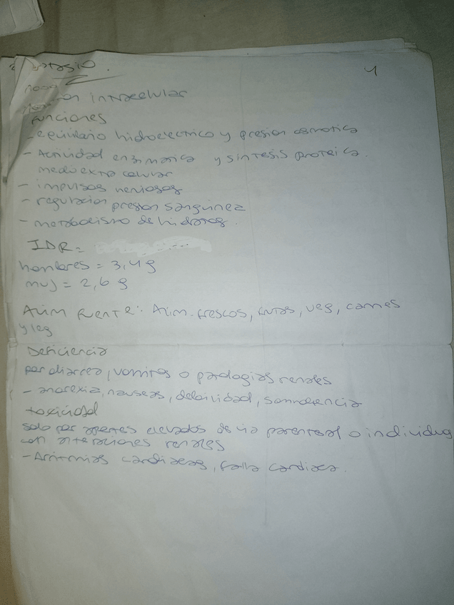 Miniatura del documento 13.jpg