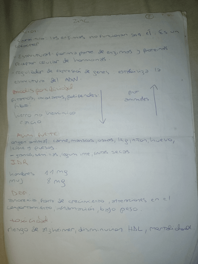 Miniatura del documento 20.jpg