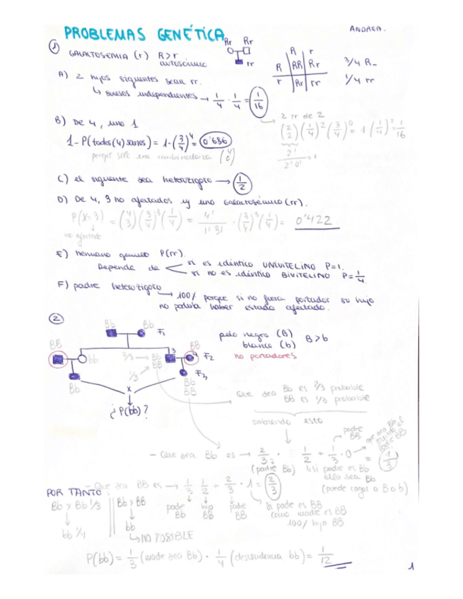 Miniatura del documento PROBLEMAS-1-9-hechos.pdf