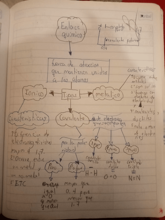 Miniatura del documento WhatsApp-Image-2024-03-17-at-2.34.03-PM.jpeg