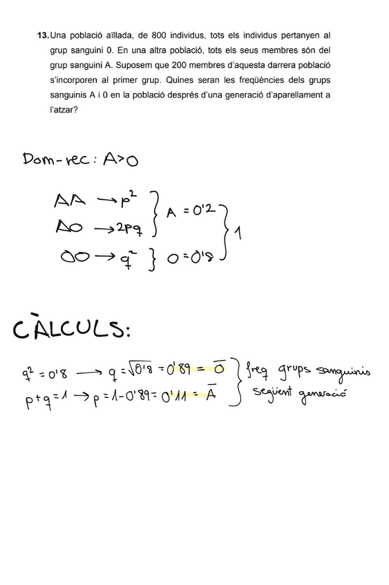 Miniatura del documento Entrega-1-Problemes.pdf