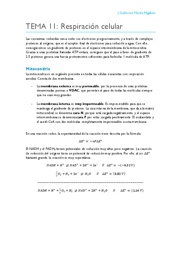 Miniatura del documento TEMA 11. Respiración celular.pdf