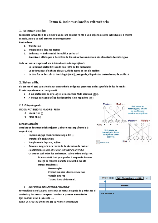 Miniatura del documento Tema-6.-Isoinmunizacion-eritrocitaria.pdf