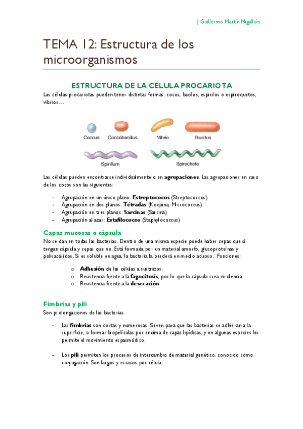 Miniatura del documento TEMA 12. Estructura de los microorganismos.pdf