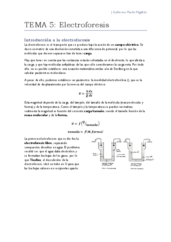 Miniatura del documento TEMA 5. Electroforesis.pdf