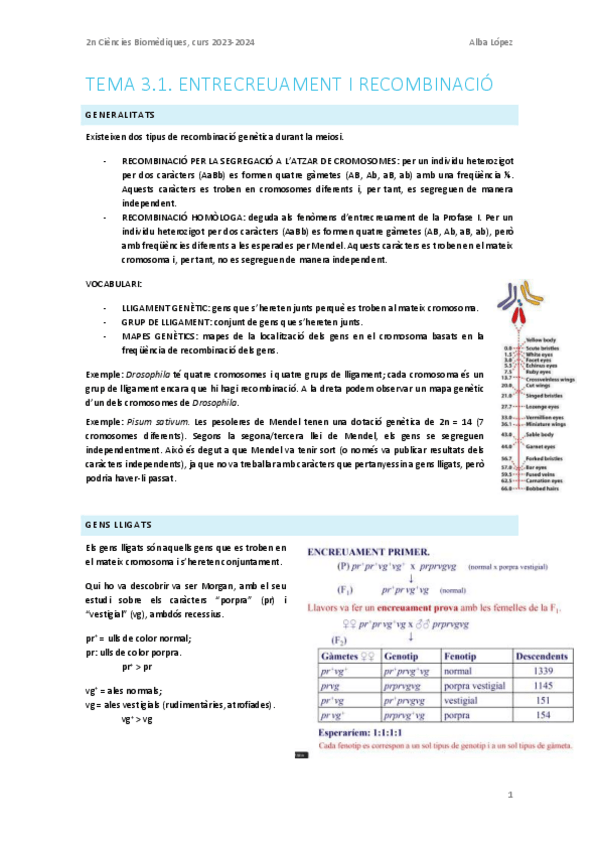 Miniatura del documento Tema-3.1.-Entrecreuament-i-recombinacio.pdf