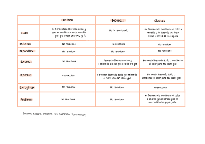 Miniatura del documento Comparacion-bacteria-problema.pdf