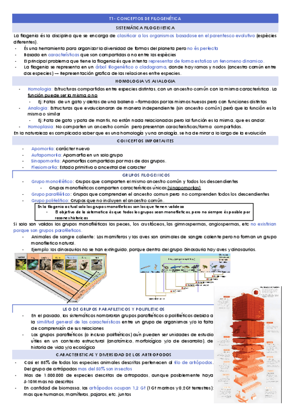 Miniatura del documento RESUMARTT1T8.docx.pdf