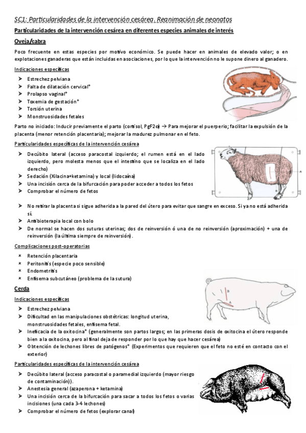 Miniatura del documento Sc1-Operaciones-obstetricas.pdf