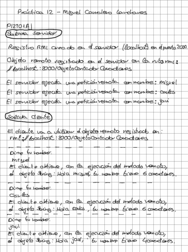 Miniatura del documento P12.pdf