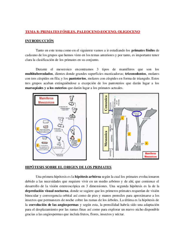 Miniatura del documento AP-ANTROPOLOGIA-TEMA-8-WH.pdf