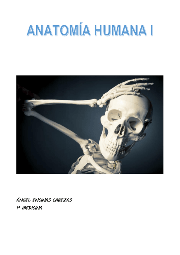 Miniatura del documento ANATOMÍA.pdf