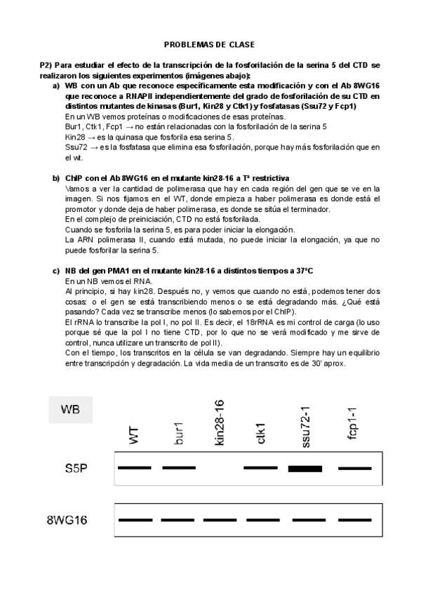 Miniatura del documento PROBLEMA-2-clase.pdf