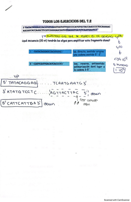 Miniatura del documento todos-los-ejercicios-del-7.2.pdf