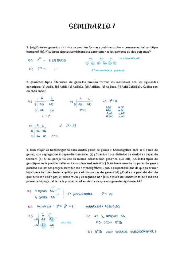 Miniatura del documento sem7.pdf