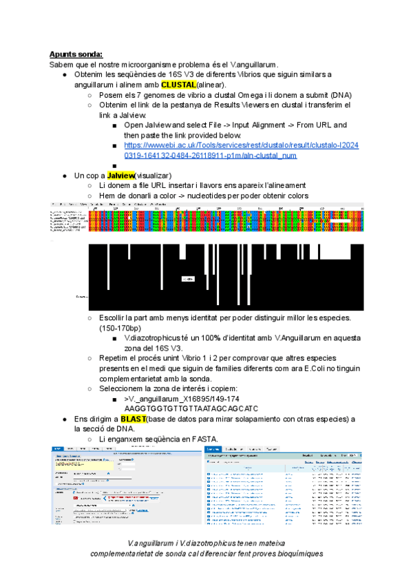 Miniatura del documento Practiques-processos-biotec.pdf