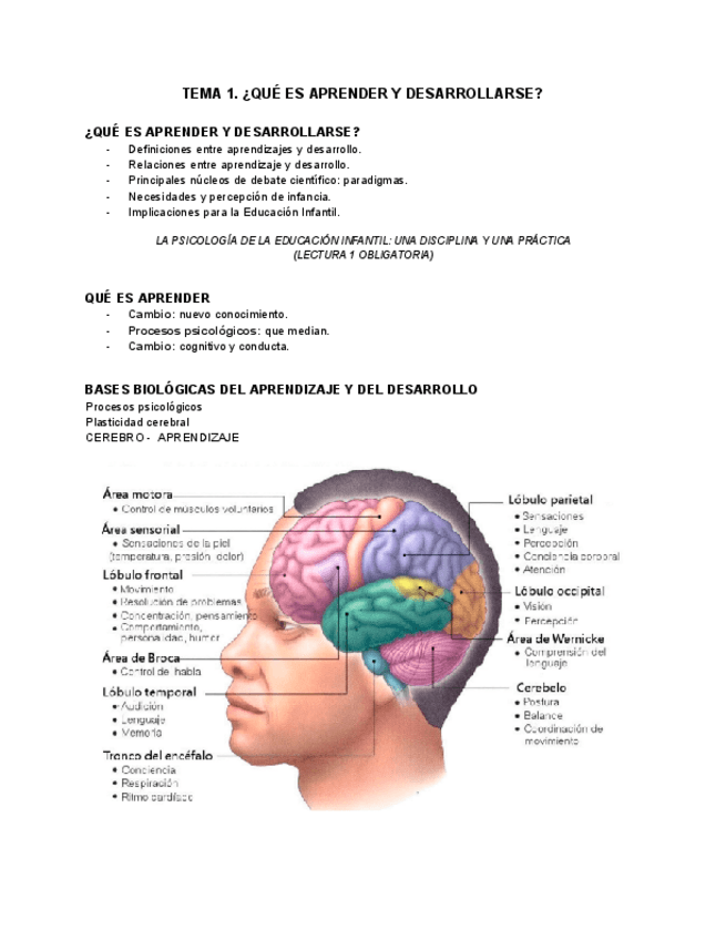 Miniatura del documento DES. PSICOLÓGICO 1º Tema 1.pdf