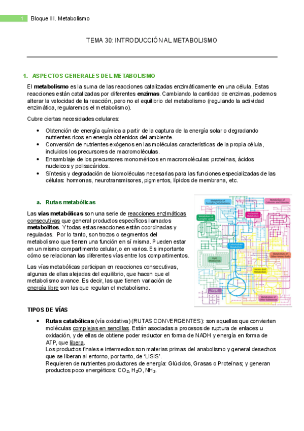 Miniatura del documento Apuntes-metabolismo-Temas-30-36.pdf