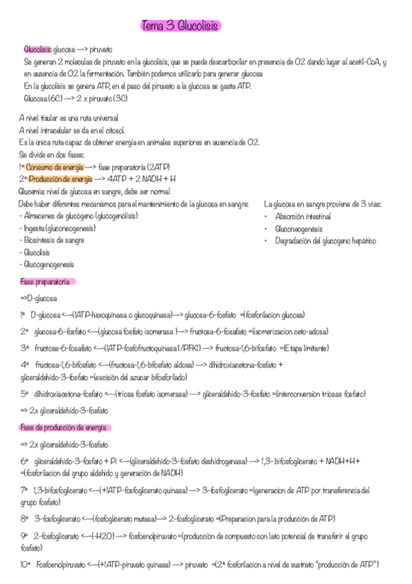 Miniatura del documento Glucolisis-tema-3.pdf