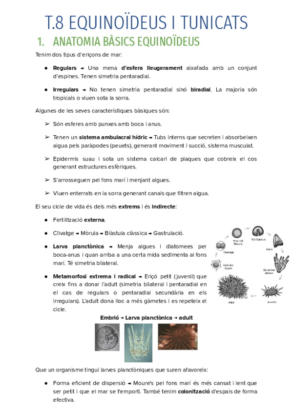Miniatura del documento T.8-EQUINOIDEUS-I-TUNICATS.pdf