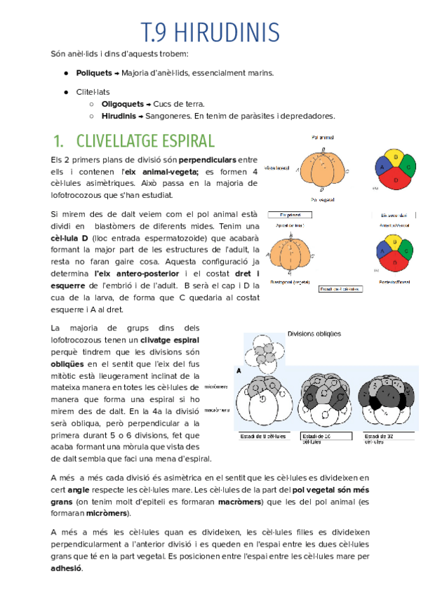 Miniatura del documento T.9-HIRUDINIS.pdf