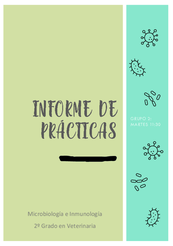 Miniatura del documento Memoria-practicas-micro.pdf