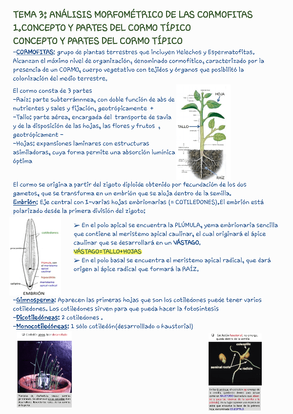 Miniatura del documento tema-3240326112640.pdf