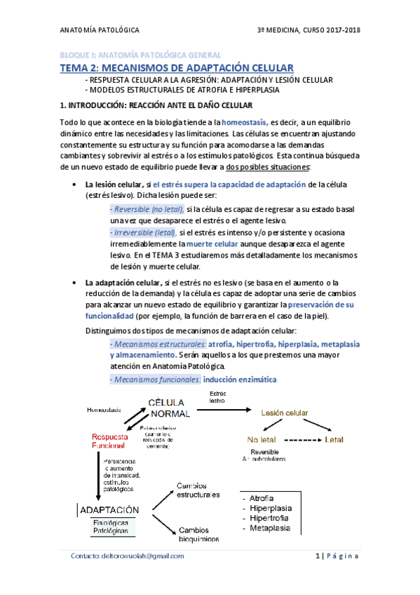 Miniatura del documento TEMA 02 - MECANISMOS DE ADAPTACIÓN CELULAR.pdf